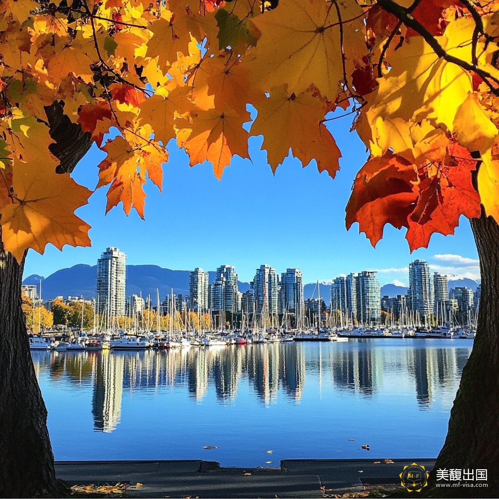 加拿大十年旅游签
